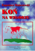 Koń na wzgórzu 1921 r.