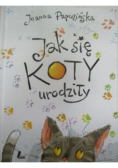Jak się koty urodziły