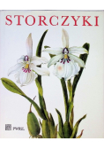 Storczyki