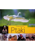 Fotografujemy ptaki