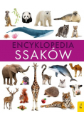 Encyklopedia ssaków