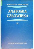 Anatomia człowieka Tom VI
