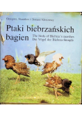 Ptaki biebrzańskich bagien