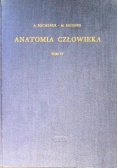 Anatomia Człowieka Tom 4