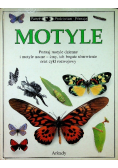 Patrzę Podziwiam Poznaję Motyle