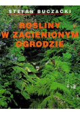Rośliny w zacienionym ogrodzie