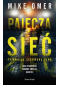 Pajęcza sieć