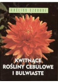 Kwitnące rośliny cebulowe i bulwiaste