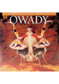 Owady