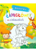 Mnóstwo łamigłówek dla ciekawskich