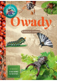 Młody Obserwator Przyrody. Owady