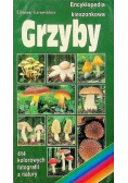 Encyklopedia kieszonkowa Grzyby
