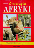 Zwierzęta Afryki