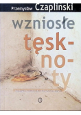 Wzniosłe tęsknoty