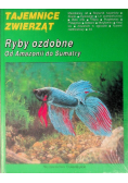 Tajemnice zwierząt Ryby ozdobne od Amazonii do Sumatry
