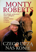 Czego uczą nas konie