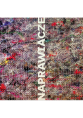 Naprawiacze