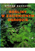 Rośliny w zacienionym ogrodzie