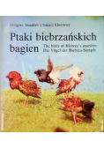 Ptaki biebrzańskich bagien