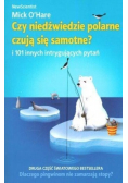 Czy niedźwiedzie polarne czują się samotne