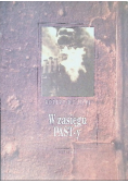 W zasięgu PASTy