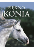 Piękno konia