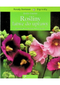 Rośliny łatwe do uprawy