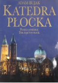Bujak Katedra Płocka