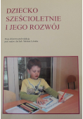 Dziecko sześcioletnie i jego rozwój
