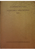 Anatomia człowieka Tom II