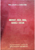 Choroby uszu, nosa, gardła i krtani