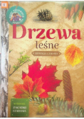 Młody Obserwator Przyrody Drzewa leśne