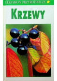 Krzewy
