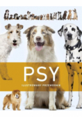 Psy