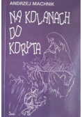 Na kolanach do koryta