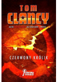 Czerwony królik