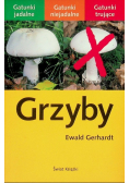 Grzyby