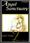 Angel Sanctuary Tom 2