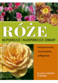 Róże Najpiękniejsze i najodporniejsze odmiany