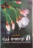 Cud energii KI