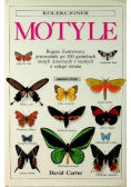 Kolekcjoner Motyle