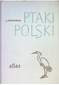 Ptaki Polski