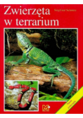 Zwierzęta w terrarium