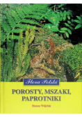 Porosty Mszaki Paprotniki