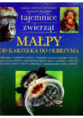Małpy Od karzełka do olbrzyma