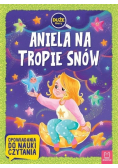 Aniela na tropie snów