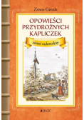 Opowieści przydrożnych kapliczek ziemi radomskiej