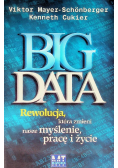 Big Data