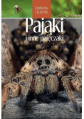 Pająki i inne pajęczaki. Spotkania z przyrodą