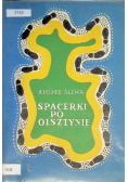 Spacerki po Olsztynie
